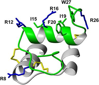 Development of Relaxin-3 Agonists and Antagonists Based on Grafted Disulfide-Stabilized Scaffolds